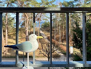 toller Blick auf den Strandzugang vom Wohnzimmer der Ferienwohnung Mine