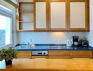 Küchenzeile mit Spülmaschine und Ceranfeld in der Ferienwohnung 31 der Villa Usedom