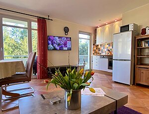 moderne Ferienwohnung 11 der Residenz Bleichröder mit Blick in den Park auch vom Balkon